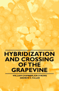 Hybridization and Crossing of the Grapevine