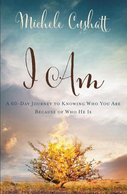 I Am: A 60-Day Journey to Knowing Who You Are Because of Who He Is - Cushatt, Michele