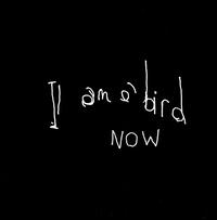 I Am a Bird Now - Antony and the Johnsons