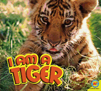 I Am a Tiger