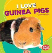 I Love Guinea Pigs