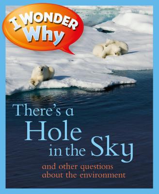 I Wonder Why There's a Hole in the Sky: And Other Questions about the Environment - Callery, Sean