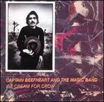 Ice Cream for Crow - Captain Beefheart & The Magic Band