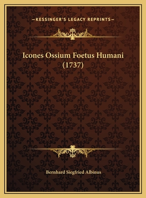 Icones Ossium Foetus Humani (1737) - Albinus, Bernhard Siegfried