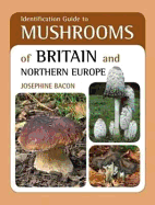 Identification Guide to Mushrooms of Britain and Northern Europe