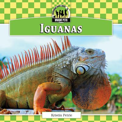 Iguanas - Petrie, Kristin