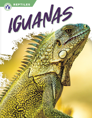 Iguanas - Jade, Shannon