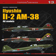 IIyushin II-2 AM-8