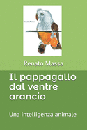 Il pappagallo dal ventre arancio: Una intelligenza animale