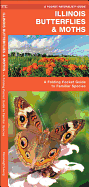 Illinois Butterflies & Moths: A Folding Pocket Guide to Familiar Species