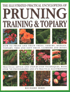 Illustrated Practical Encyclopedia of Pruning, Training and Topiary: How to Prune and Train Trees, Shrubs, Hedges, Topiary, Tree and Soft Fruit, Climbers and Roses - Practical Advice and Step-By-Step Techniques, with Over 800 Photographs and 100...