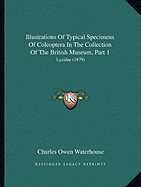 Illustrations Of Typical Specimens Of Coleoptera In The Collection Of The British Museum, Part 1: Lycidae (1879) - Waterhouse, Charles Owen