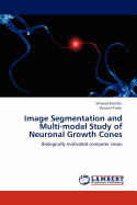 Image Segmentation and Multi-Modal Study of Neuronal Growth Cones