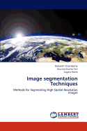 Image Segmentation Techniques
