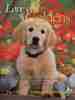 Love of Goldens the Ultimate Tribute to Golden Retrievers; Foreword By Roger Caras