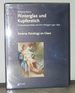 Hinterglas Und Kupferstich: Hinterglasgemlde Und Ihre Vorlagen, 1550-1850; Reverse Paintings on Glass