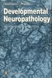 Developmental Neuropathology [Gebundene Ausgabe] Von Reinhard L. Friede (Autor)