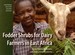 Fodder Shrubs for Dairy Farmers in East Africa: Making Extension Decisions and Putting Them Into Practice