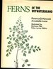 Ferns of the Witwatersrand