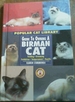 Guide to Owning a Birman Cat; Feeding & Grooming