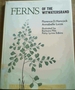 Ferns of the Witwatersrand