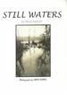 Still Waters-a Portrait of Broadland Today