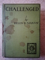 Challenged: a Novel