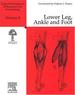 Surgical Techniques in Orthopaedics and Traumatology, Volume 8: Lower Leg, Ankle and Foot (Laf) [Englisch] Fractures Ligament Injuries Congenital Anomalies Pathologies Orthopaedic Surgery Anaesthesia Analgesia Prevention of Infection Deep Venous...