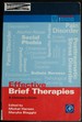 Effective Brief Therapies: a Clinician's Guide (Practical Resources for the Mental Health Professional)