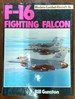 F-16 Fighting Falcon (Modern Combat Aircraft)