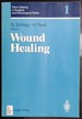 Fibrin Sealing in Surgical and Nonsurgical Fields: Volume 1: Wound Healing (V. 1)