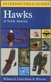 A Field Guide to Hawks North America (Peterson Field Guides)