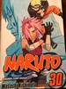 Naruto, Volume 30: Puppet Masters