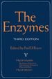 The Enzymes