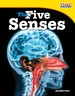 The Five Senses