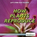 How Plants Reproduce