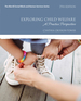 Exploring Child Welfare: a Practice Perspective