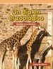 Un Da En El Zoolgico (Day at the Zoo)