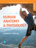 Human Anatomy & Physiology Laboratory Manual