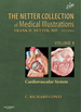 The Netter Collection of Medical Illustrations: Cardiovascular System