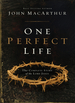 One Perfect Life