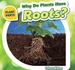 Why Do Plants Have Roots?