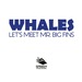 Whales-Let's Meet Mr. Big Fins