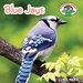 Blue Jays