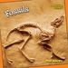 Fossils