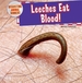 Leeches Eat Blood! :