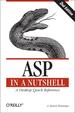 Asp in a Nutshell