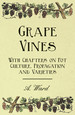 Grape Vines-With Chapters on Pot Culture, Propagation and Varieties