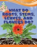What Do Roots, Stems, Leaves, and Flowers Do?