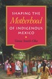 Shaping the Motherhood of Indigenous Mexico